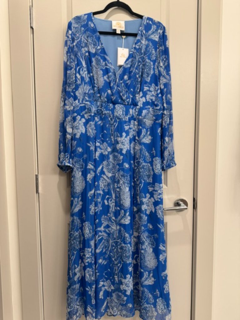 Nicoblu Nwt Angelina Maxi Chiffon Dress Blue And White Floral Toile 16 — image 4 of 5